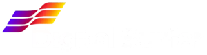 Digital Surfer logo