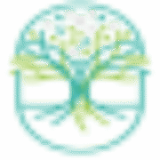 Origin SEO logo