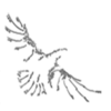Rise Social Media logo
