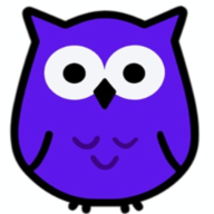 Owl Web Design logo