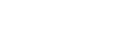 Squid Digital logo