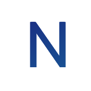 Nelson Web Design logo